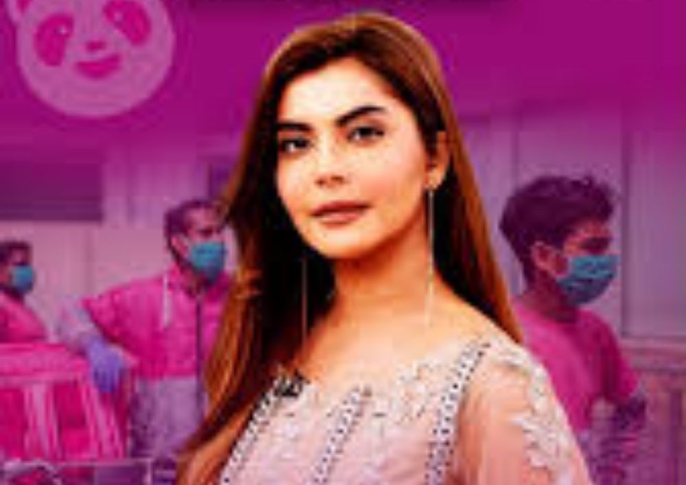 Nida Yasir Apologises After Remarks on Foodpanda Riders Spark Nationwide Backlash